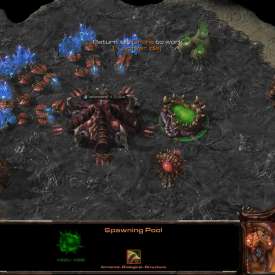 Игра StarCraft 2 Heart of the Swarm торрент на русском